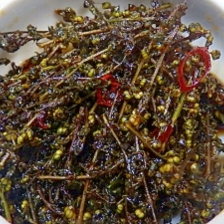 しそ 紫蘇 の実の色々 佃煮 醤油漬け 塩漬け レシピ 作り方 By 夏はぜ 楽天レシピ しそ 紫蘇 の実の色々 佃煮 醤油漬け 塩漬け レシピ 作り方 By 夏はぜ 楽天レシピ